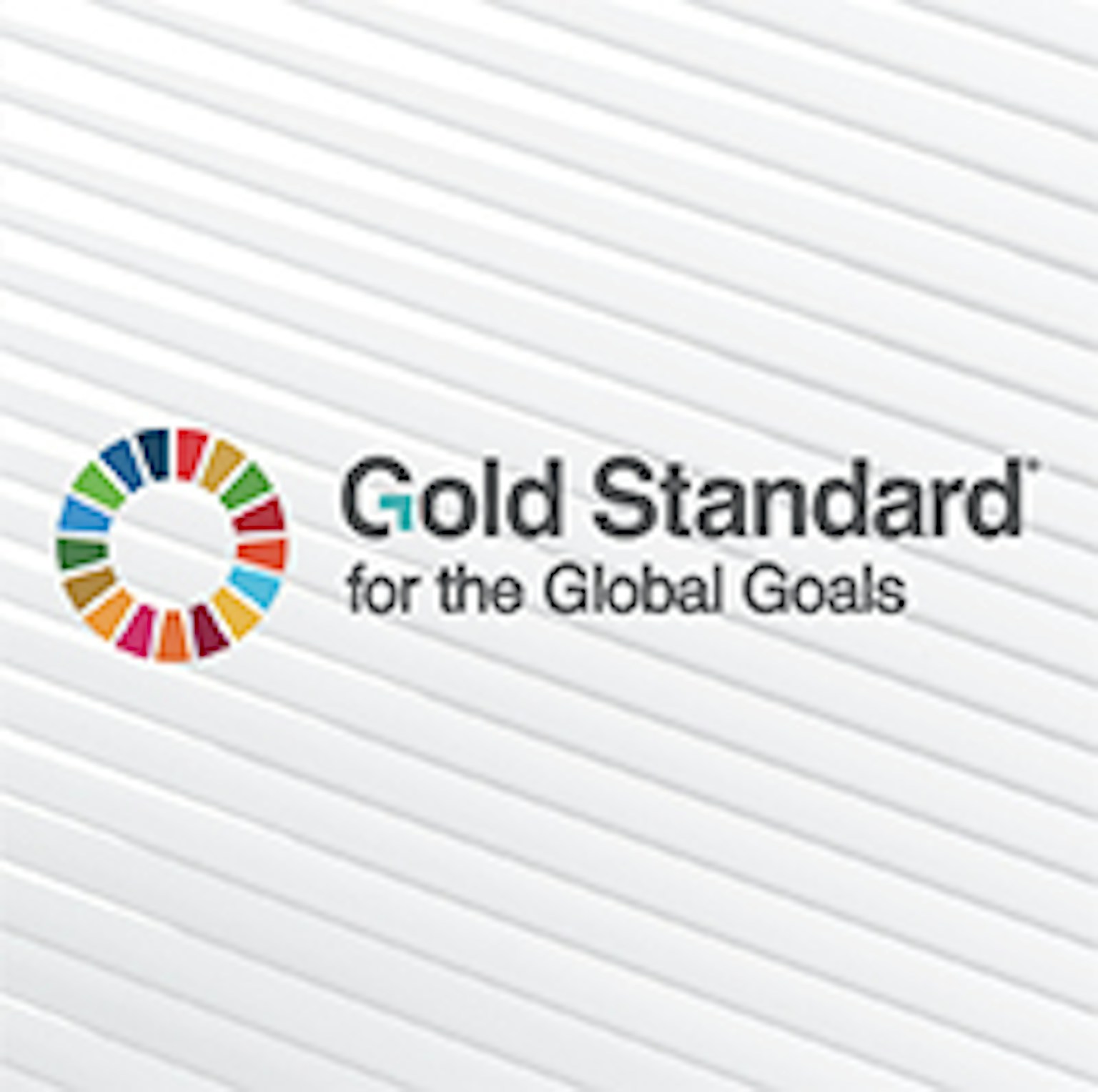 Gold Standard 2024 Checklist Download Minny Tamarah