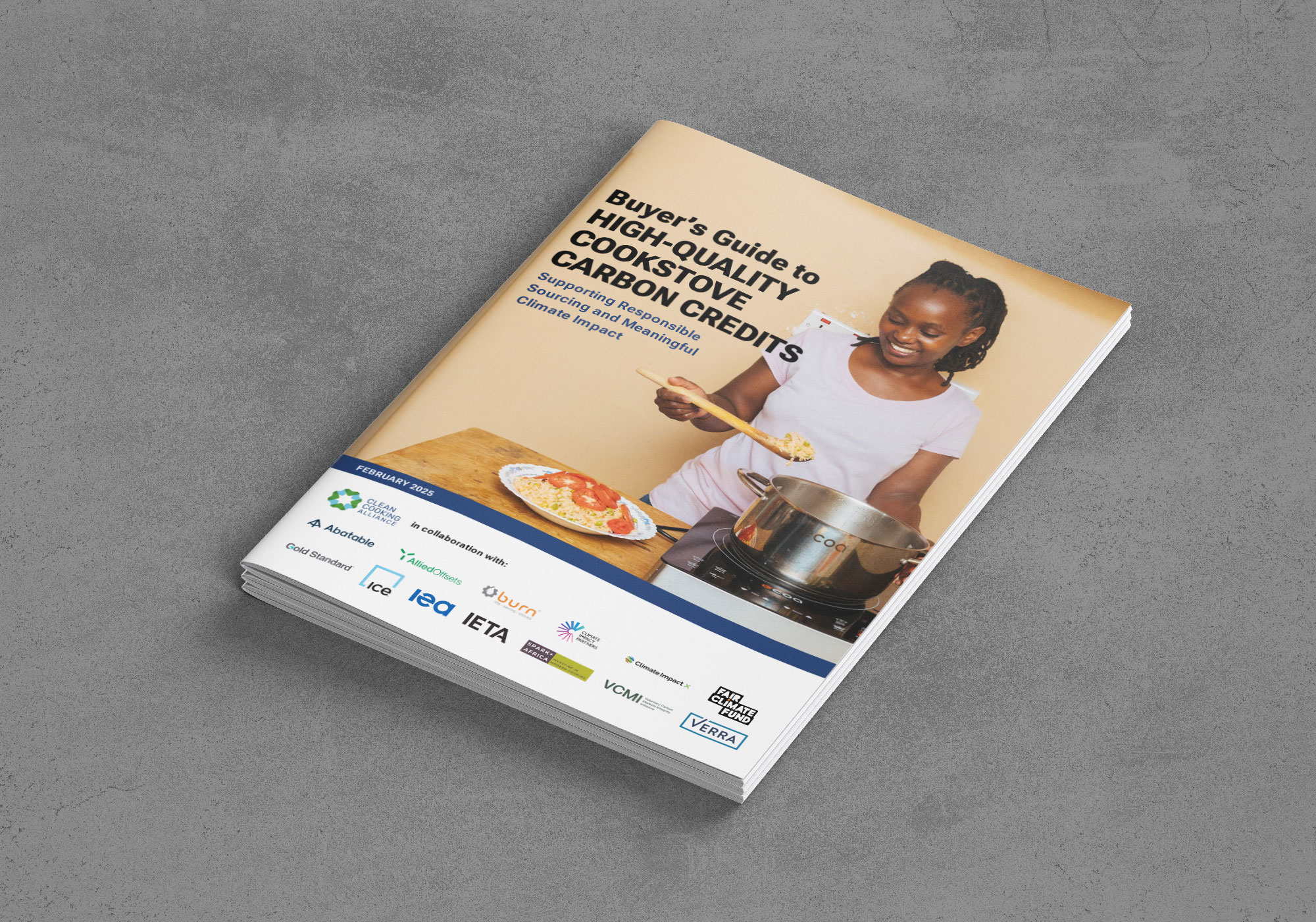 Buyers-Guide to High-Quality Cookstove Carbon Credits