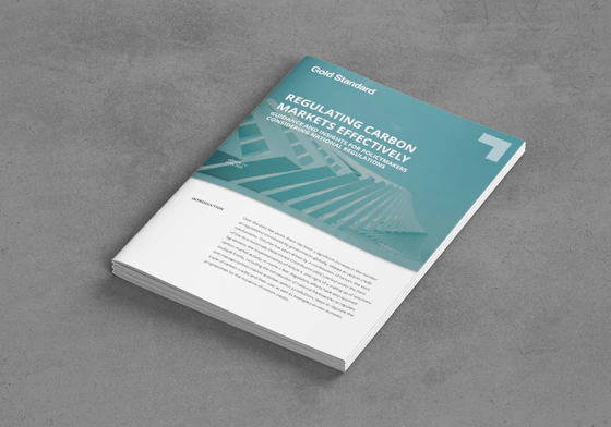 Regulating Carbon Markets Effectively-Factsheets April 2025