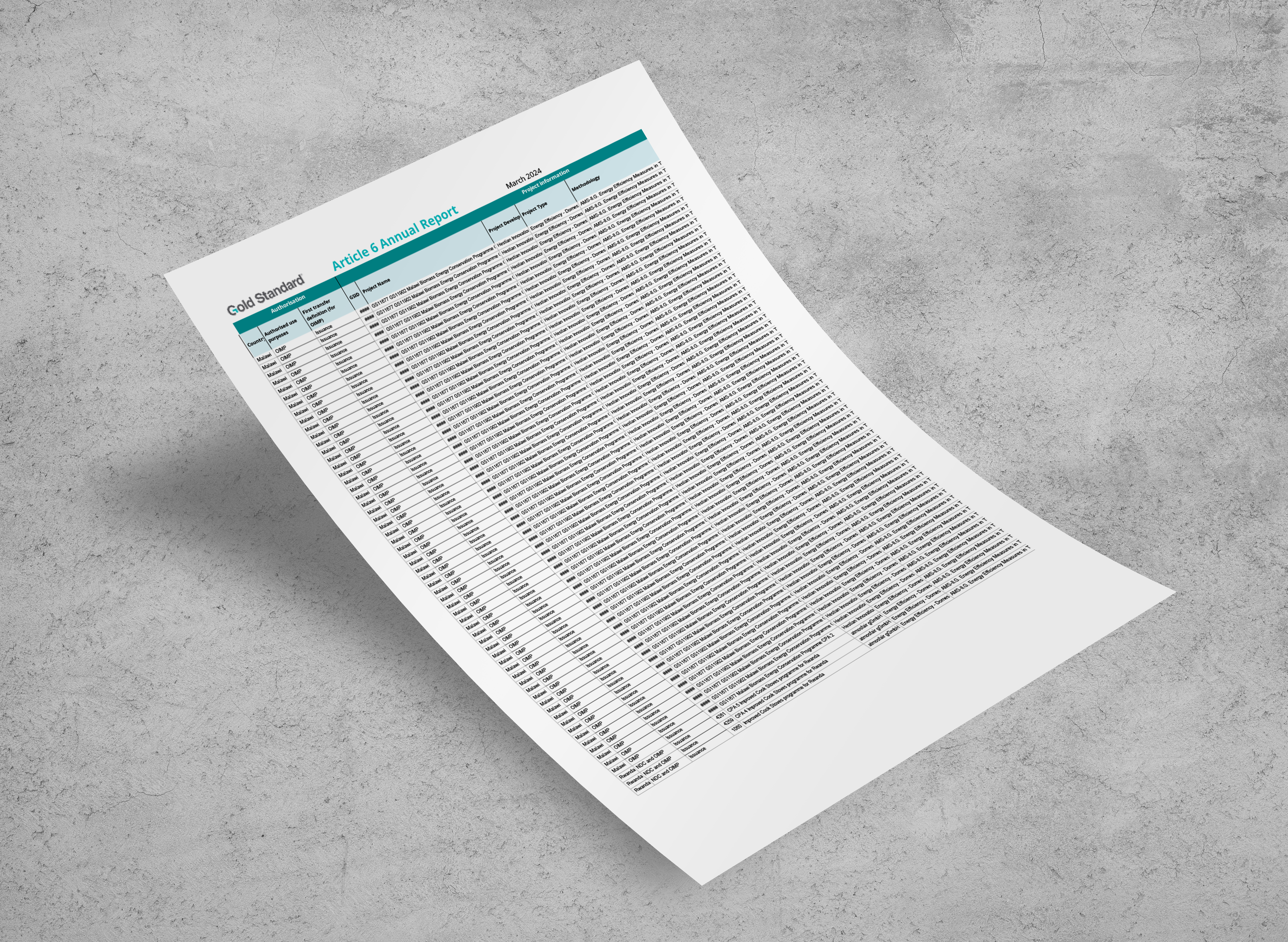 Article 6 Annual Report 2024 - Illustrative Cover