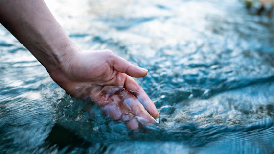 Catch the Wave of Global Water Decarbonisation Visual Cover