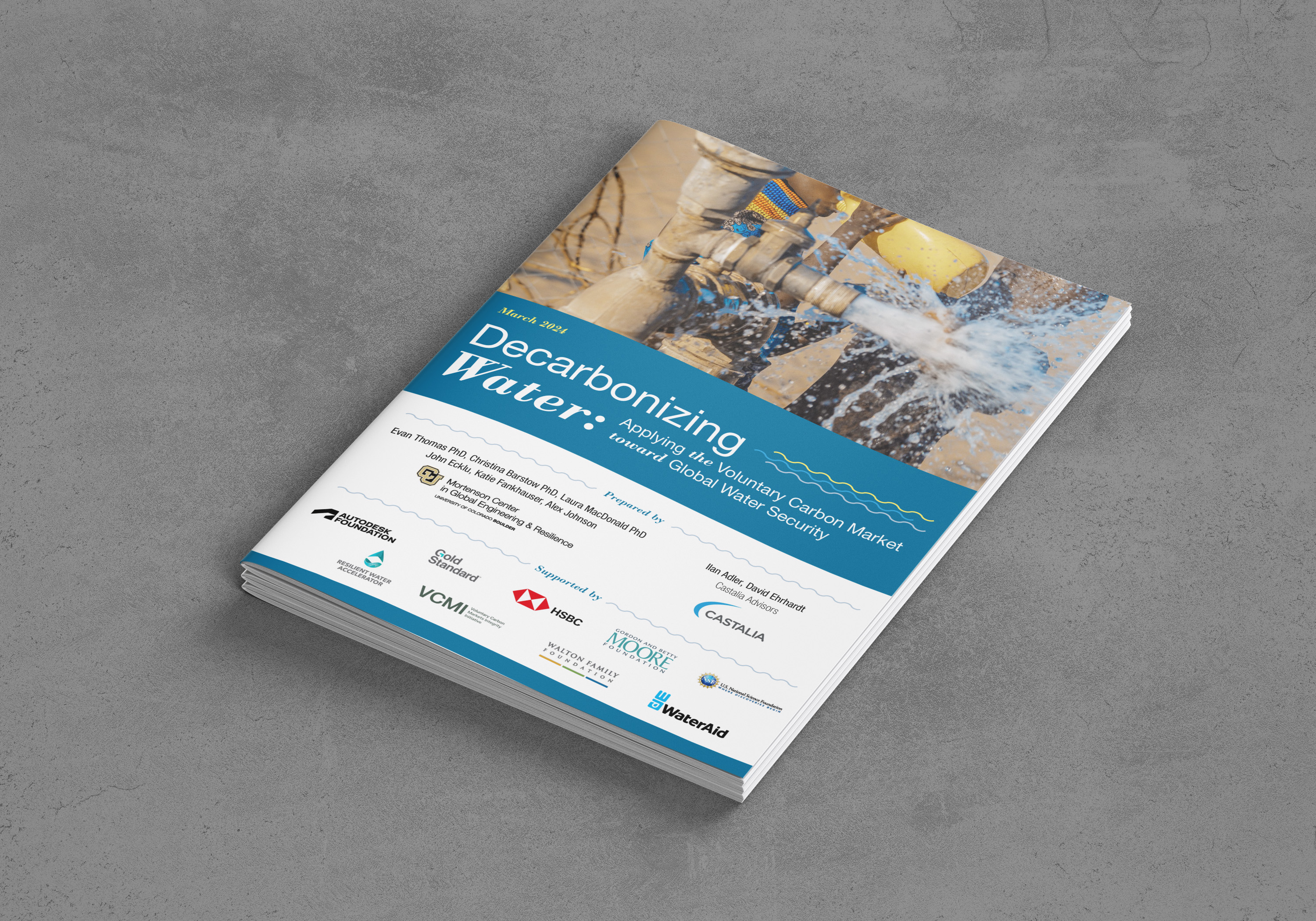 Decarbonising Water: Applying the Voluntary Carbon Market towards Global Water Security cover