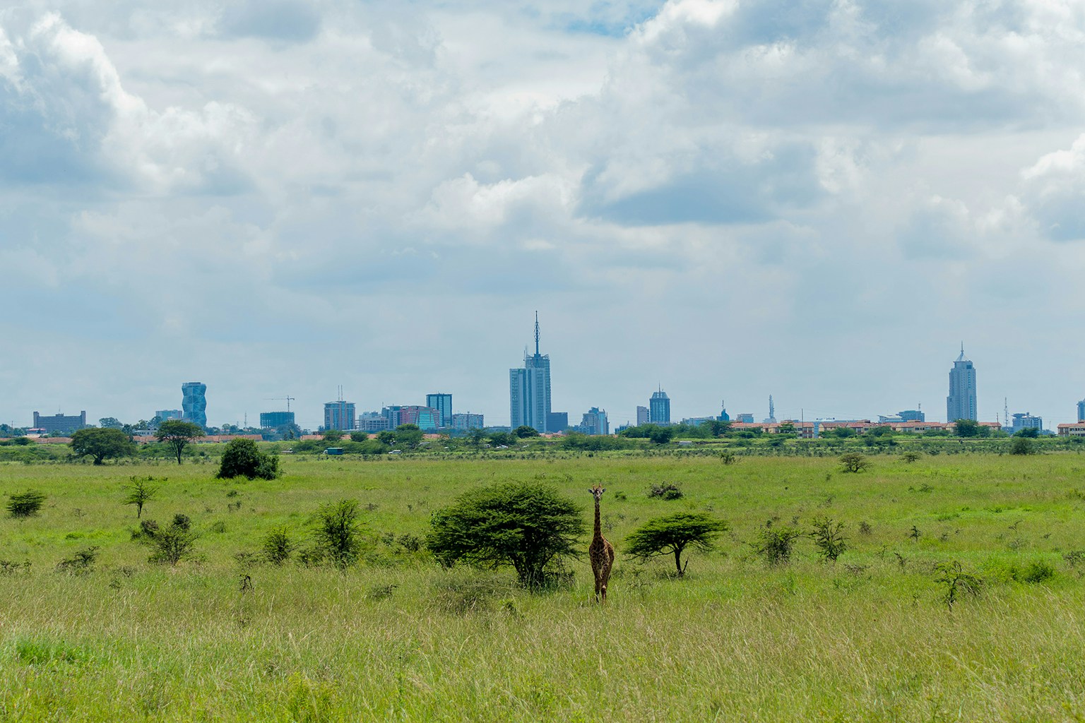 Kenya Carbon Markets Conference 2024-Nairobi National Park, photo by Murad Swaleh