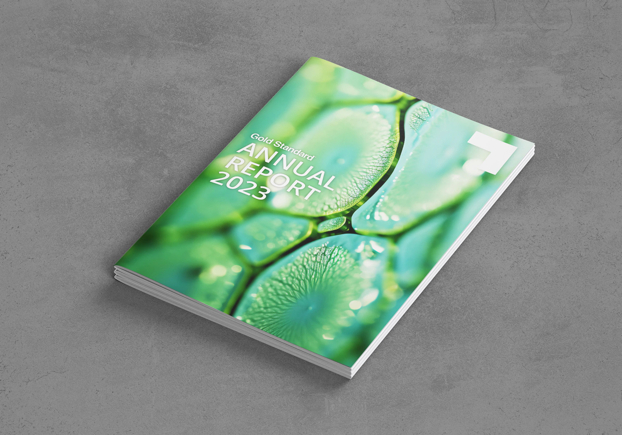 Gold Standard Annual Report 2023 Cover