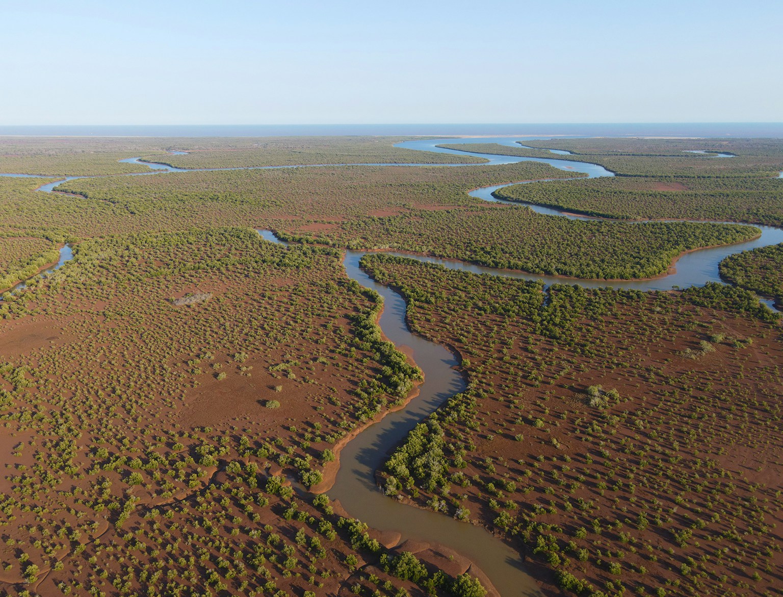 Melaki's area Mangroves