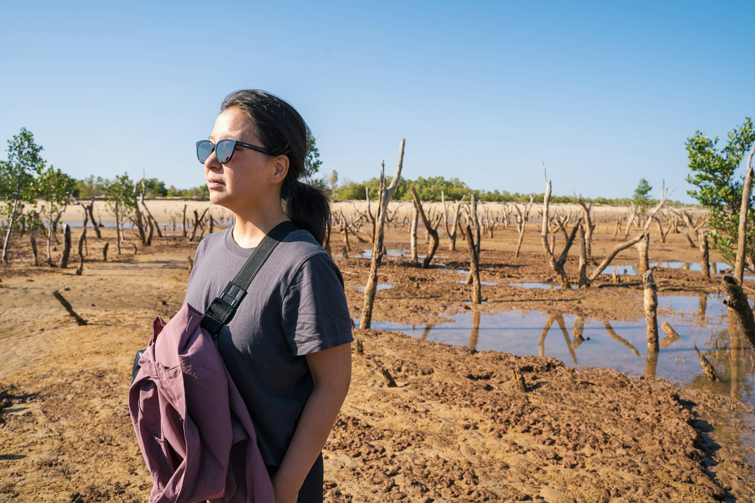 Malgasi degraded land