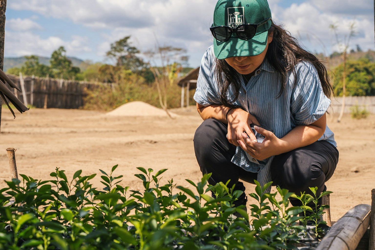 Malgasi plant Nursery