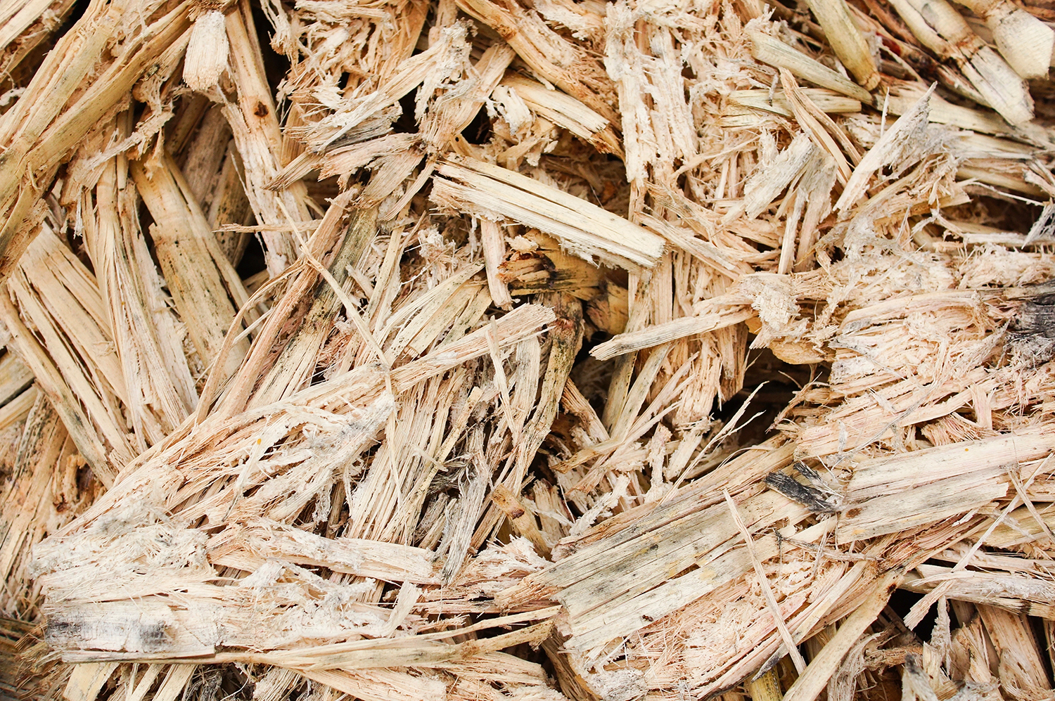 Module for Application of Soil Improver through Orchard Wood Chip Residues-Image_cover