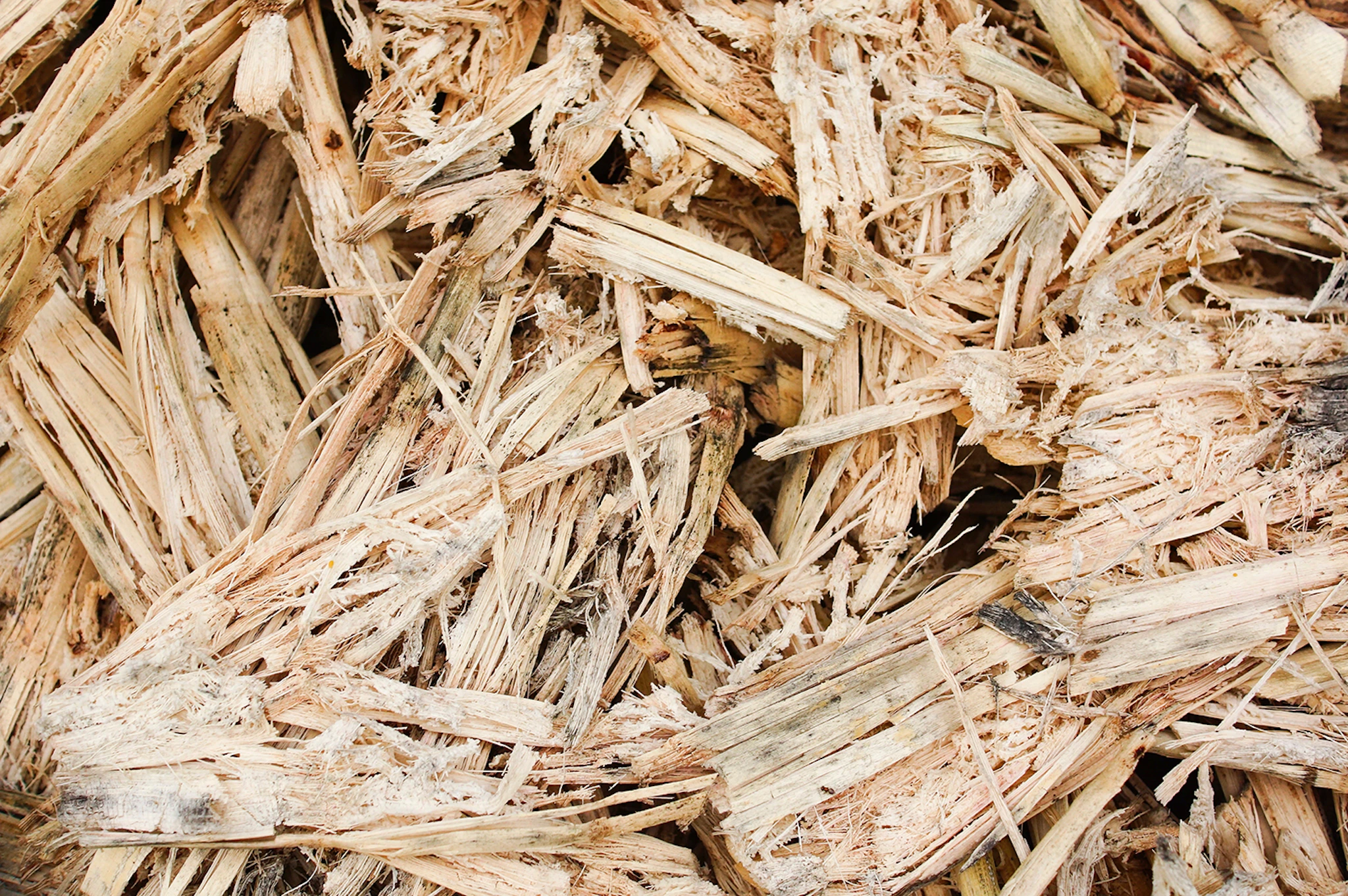 Module for Application of Soil Improver through Orchard Wood Chip Residues-Image_cover