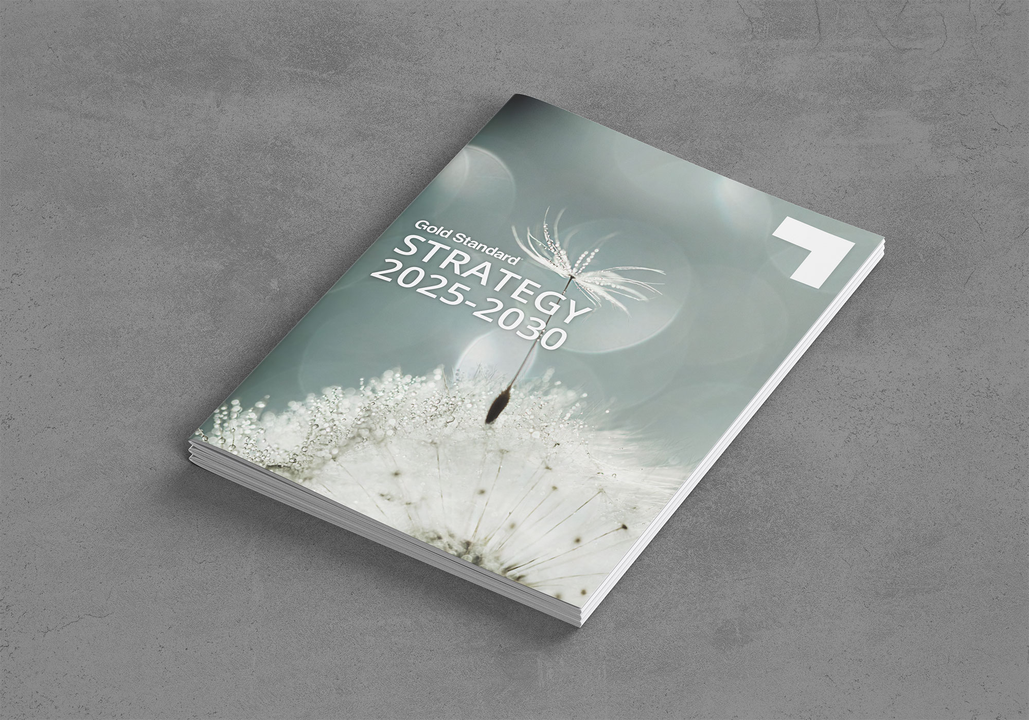 Gold Standard Strategy 2025-2030