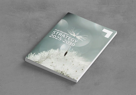 Gold Standard Strategy 2025-2030