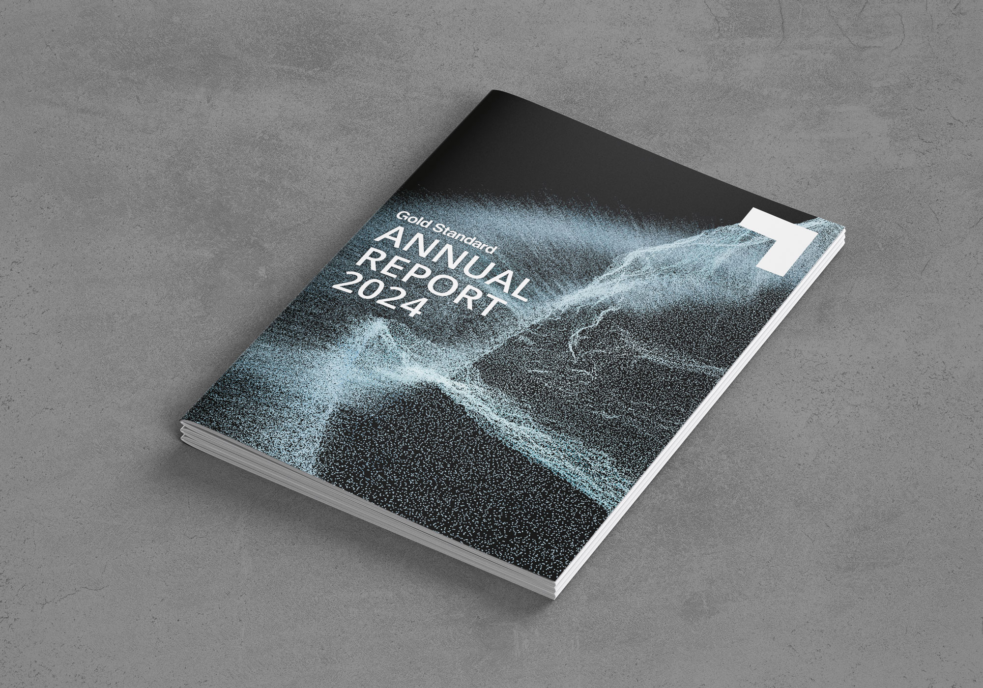 Gold Standard Annual Report 2024