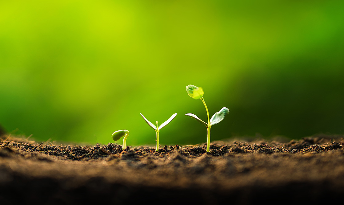 SOC Model Guidelines Cover