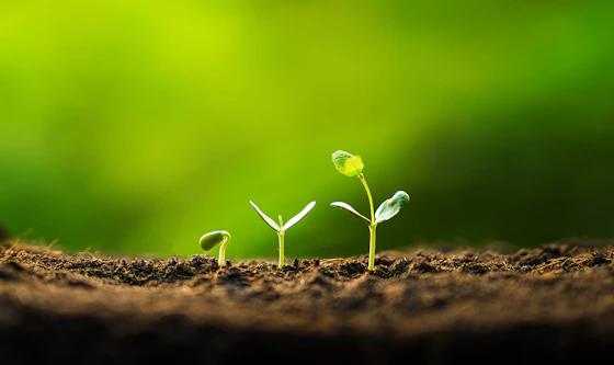 SOC Model Guidelines Cover