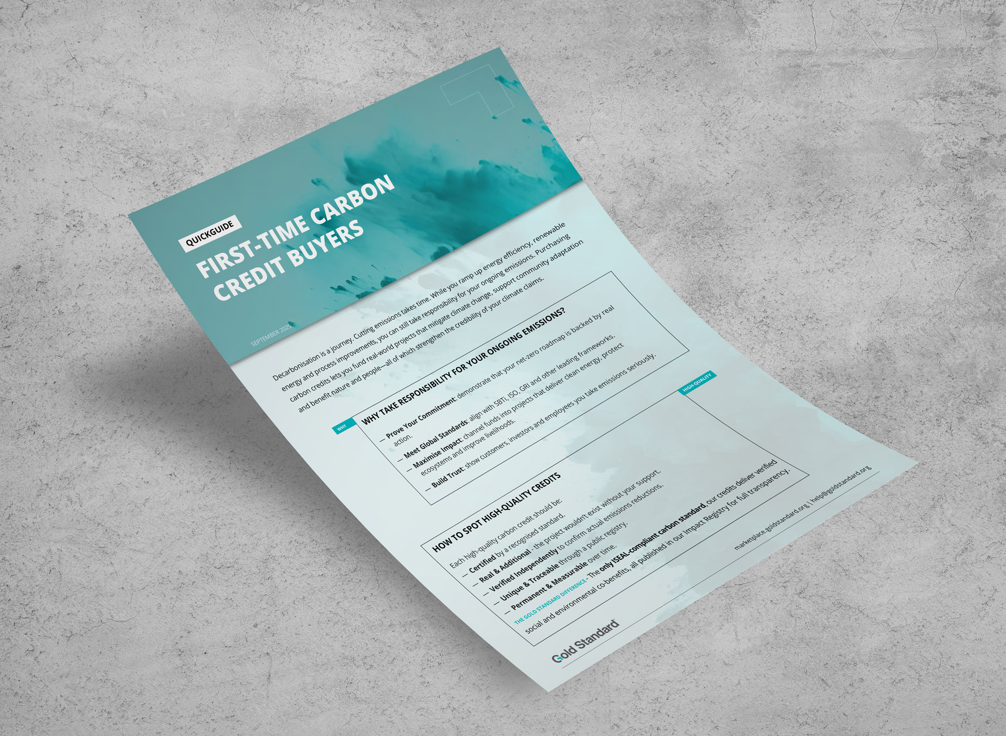 First-Time Carbon Credit Buyers