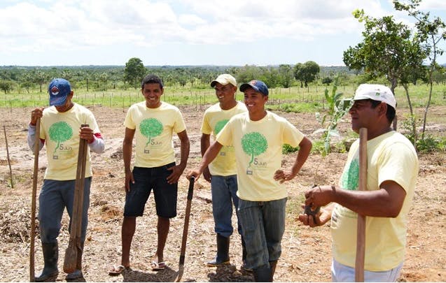 Sustainable Carbon - Ceara project