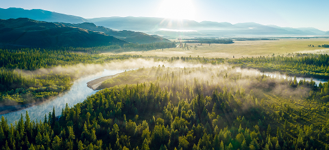 Innovation Forum Cover