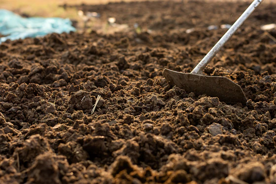 Animal Manure Consultation Image cover