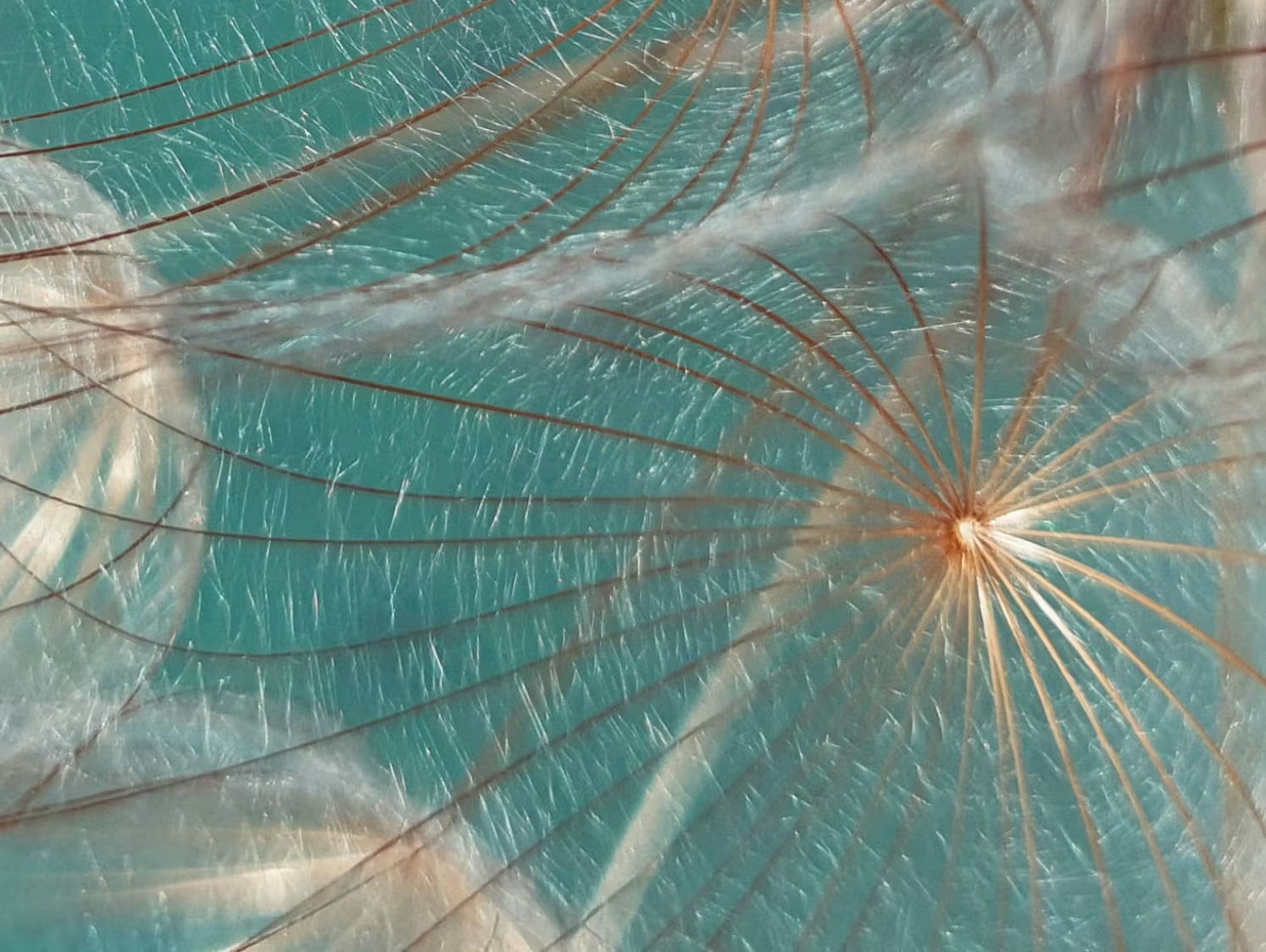 A higher standard for climate security and Sustainable Development for all