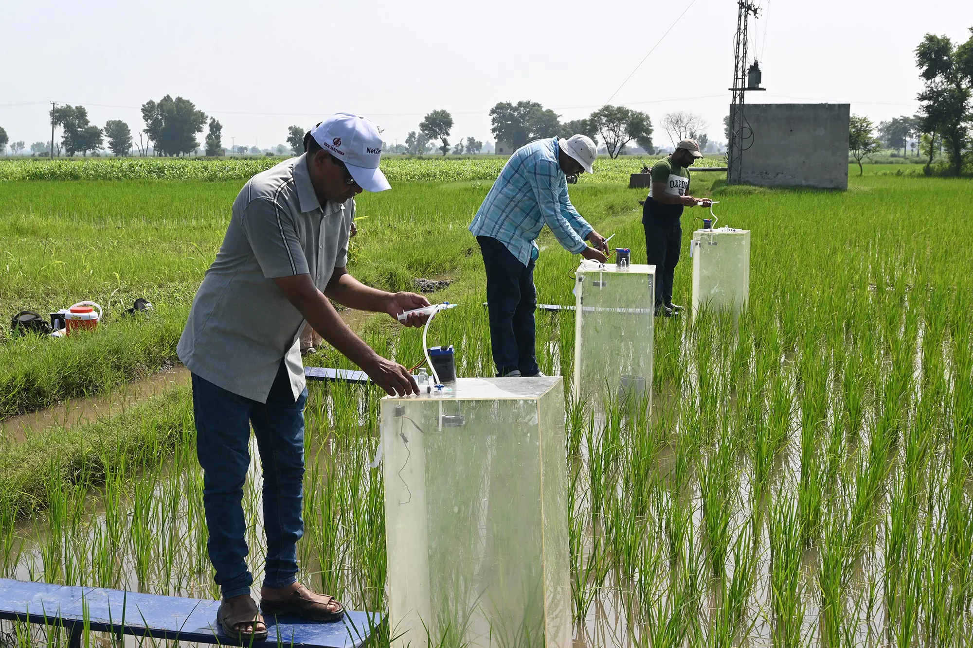 Project Spotlight: How Pakistan's rice farmers are fighting climate ...