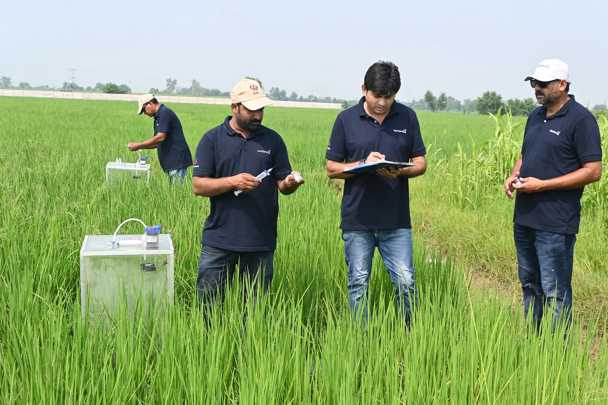 Project Spotlight: How Pakistan's rice farmers are fighting climate ...