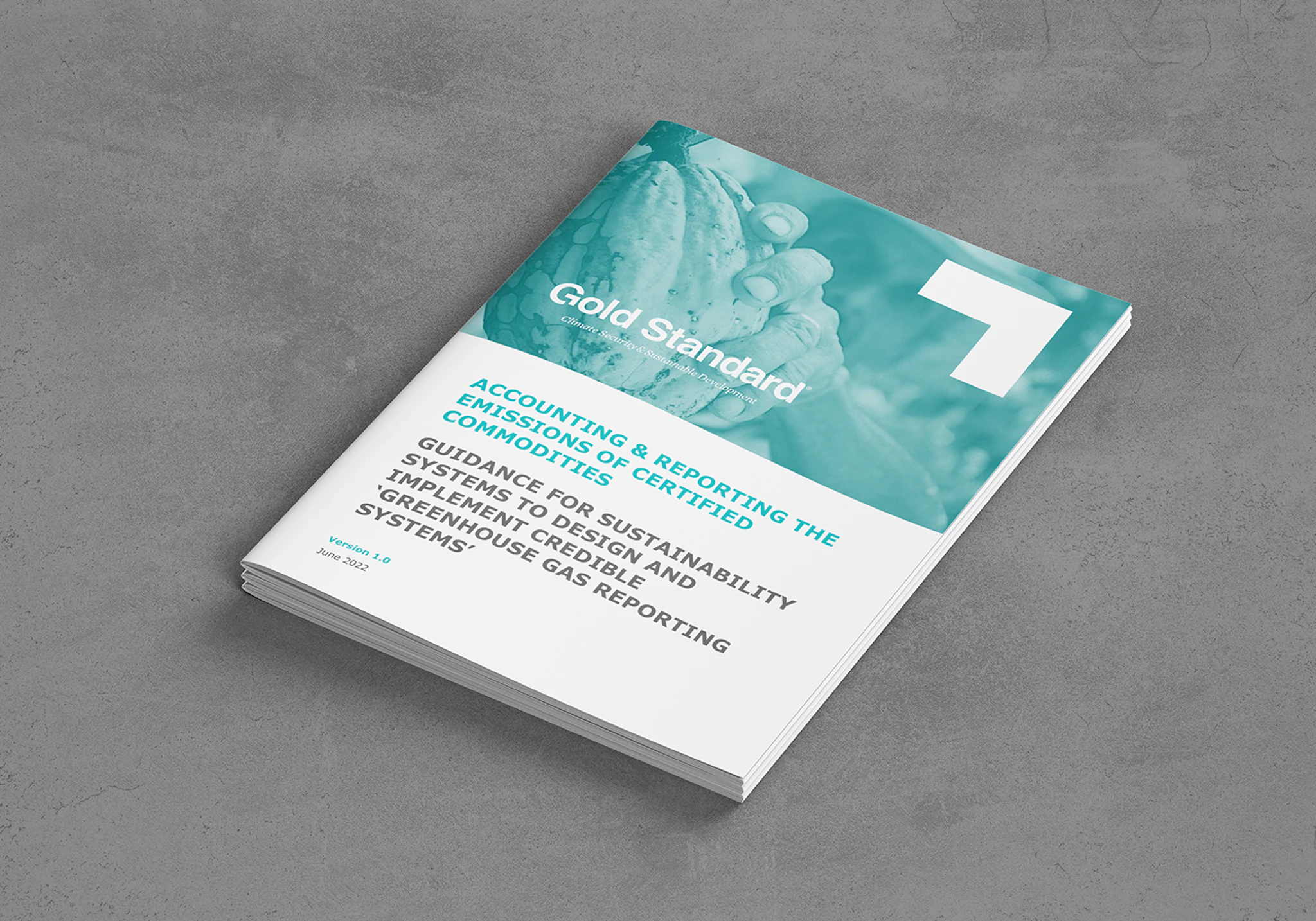 Guidance for sustainability systems to design and implement credible ghg reporting systems v1.0