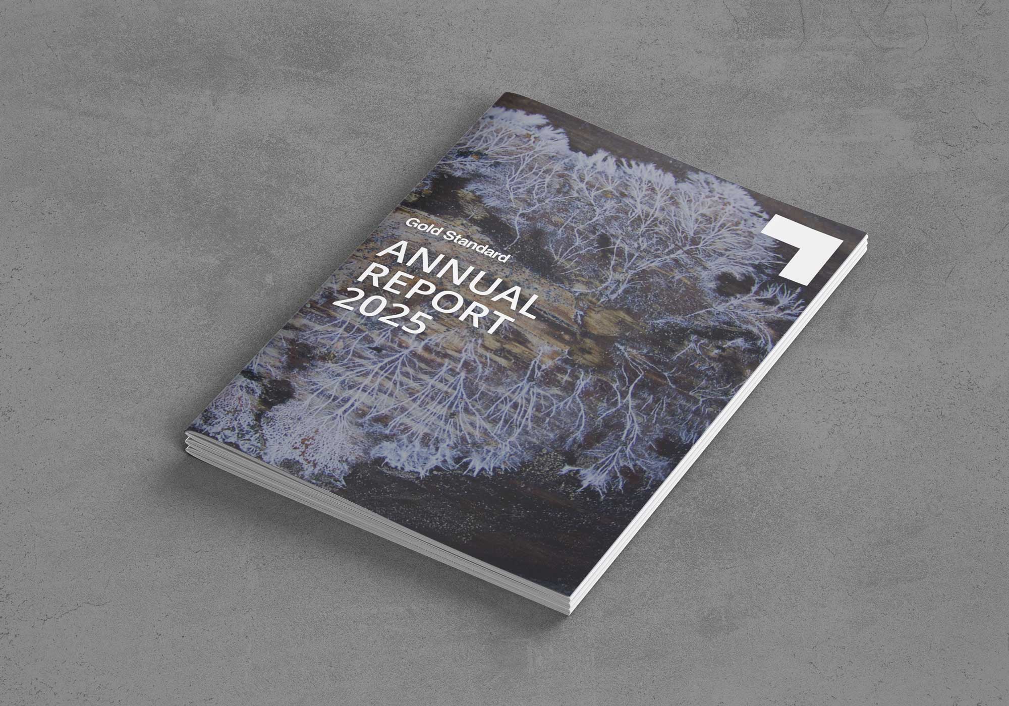 Gold Standard Annual Report 2025