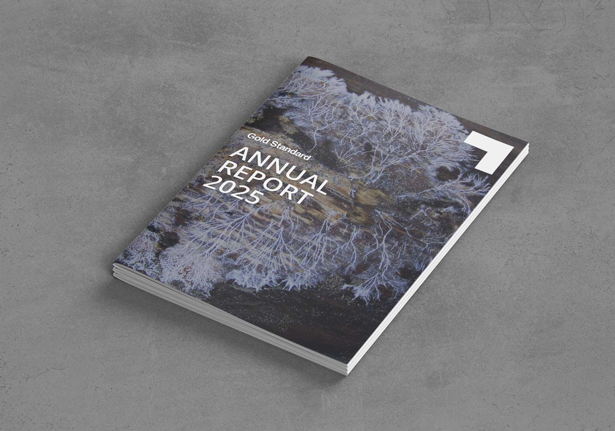 Gold Standard Annual Report 2025-Image
