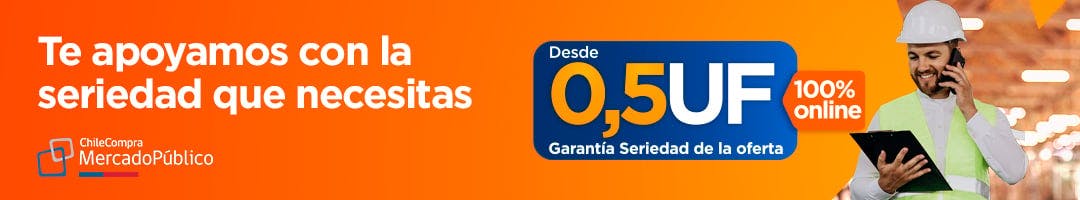 Garantia Seriedad de la Oferta Licitaciones Publicas Mercado Publico ChileCompra - Maxxa