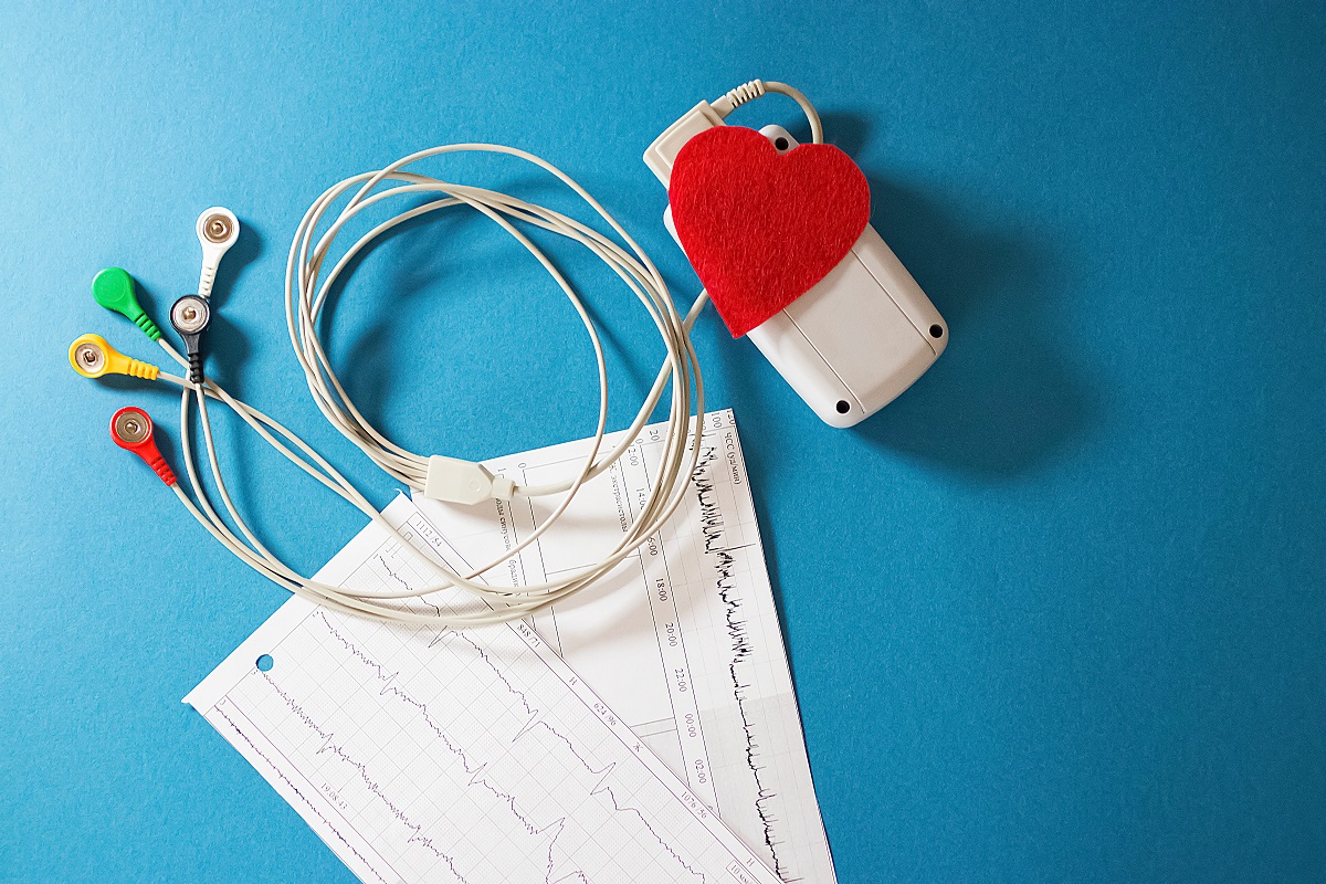 A holter monitor for assessing a dog's heart health