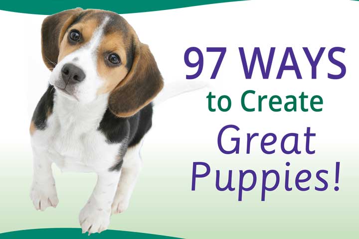 97 Ways To Create Great Puppies e-book