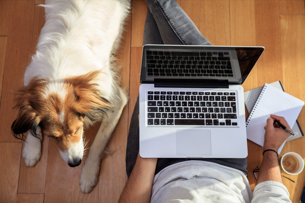 Attending live coaching sessions