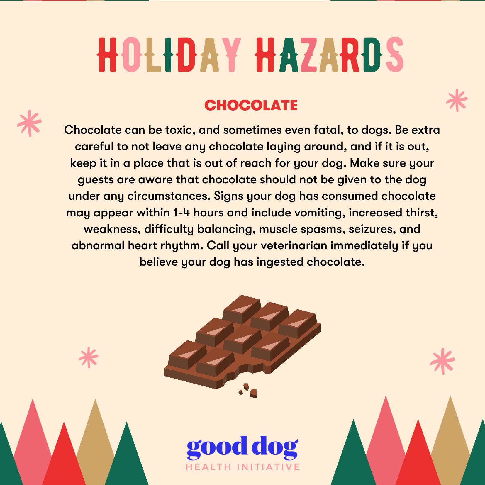 Holiday Hazards: Chocolate