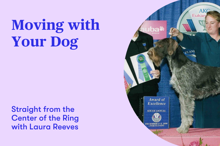 Moving with Your Dog