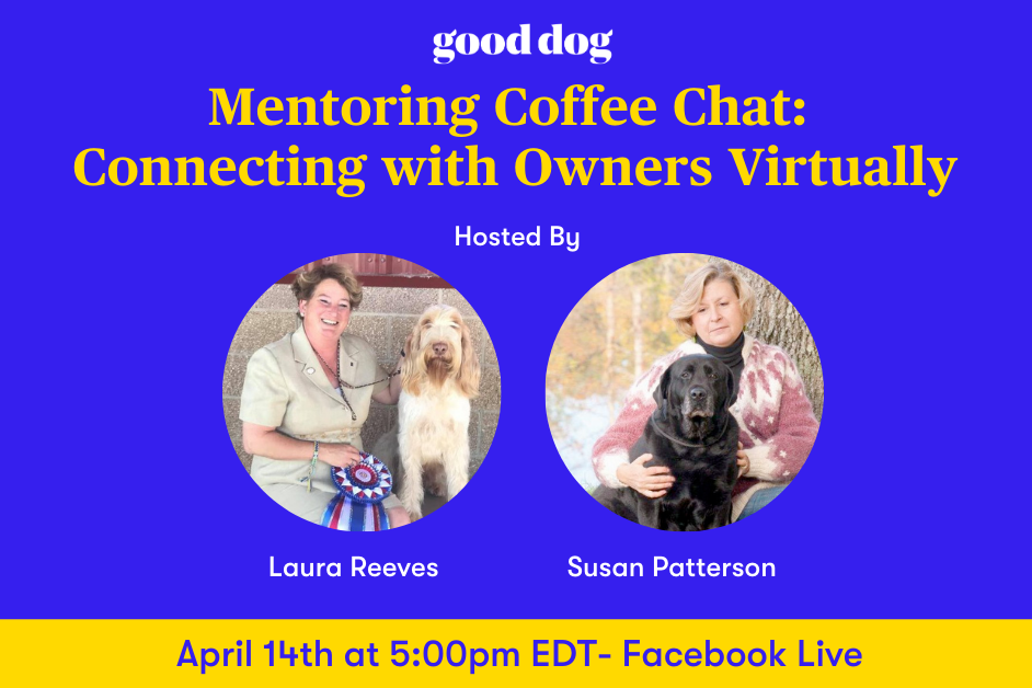 Connecting with Owners Virtually banner