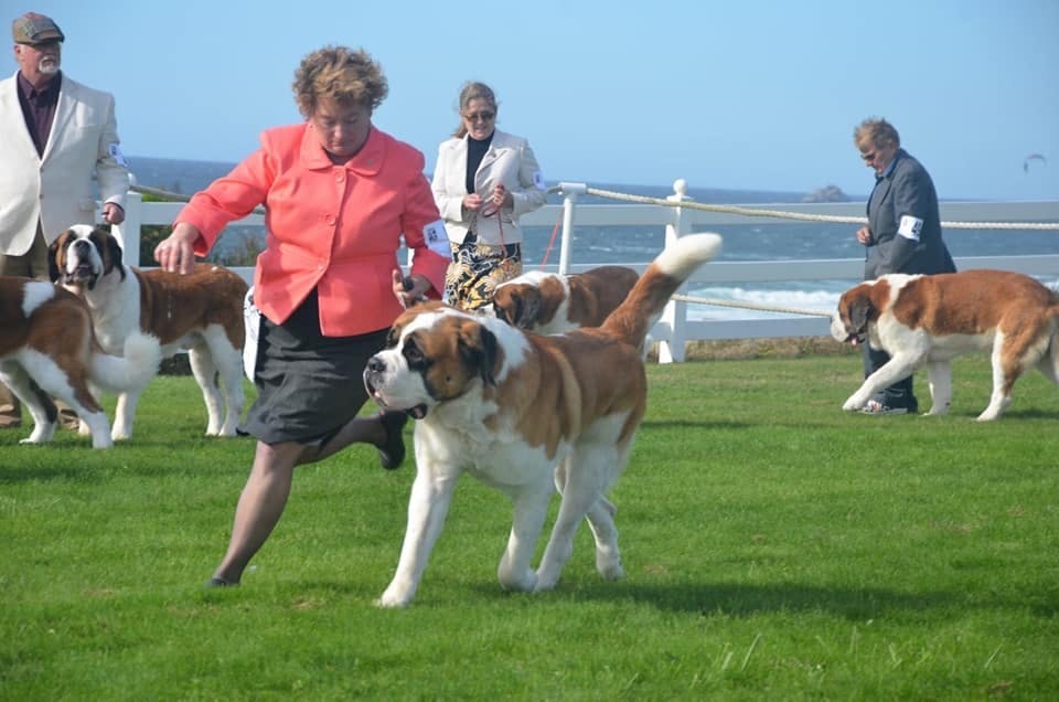 Woman running with dog.