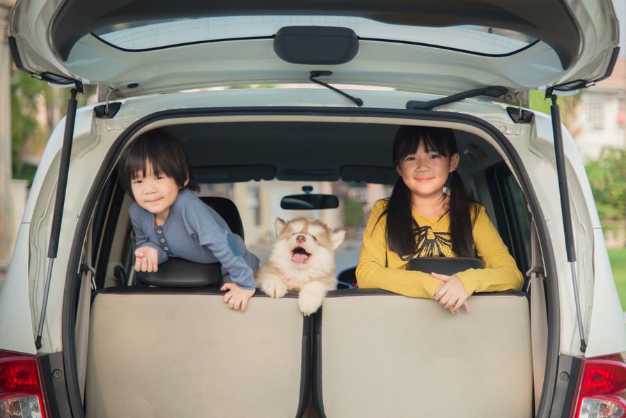 Two kids looking out of the back of a minivan with a smiling puppy