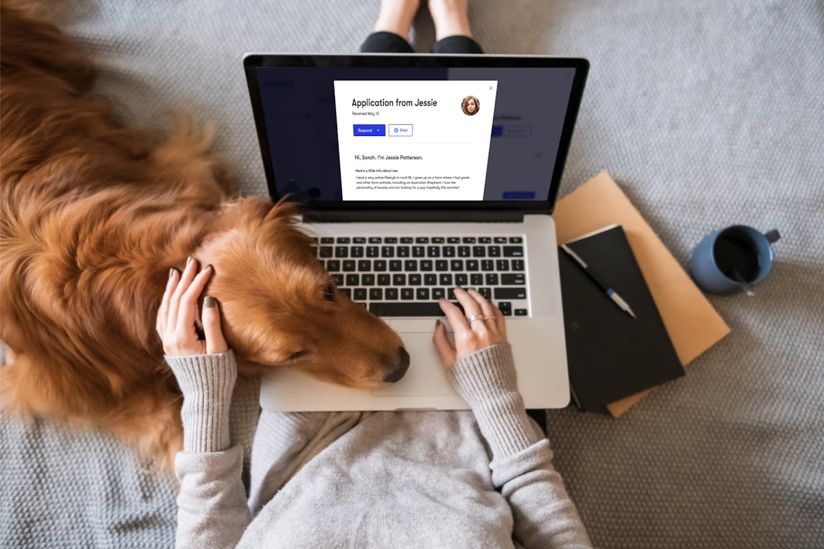 Woman with a dog resting its head on her lap as she works