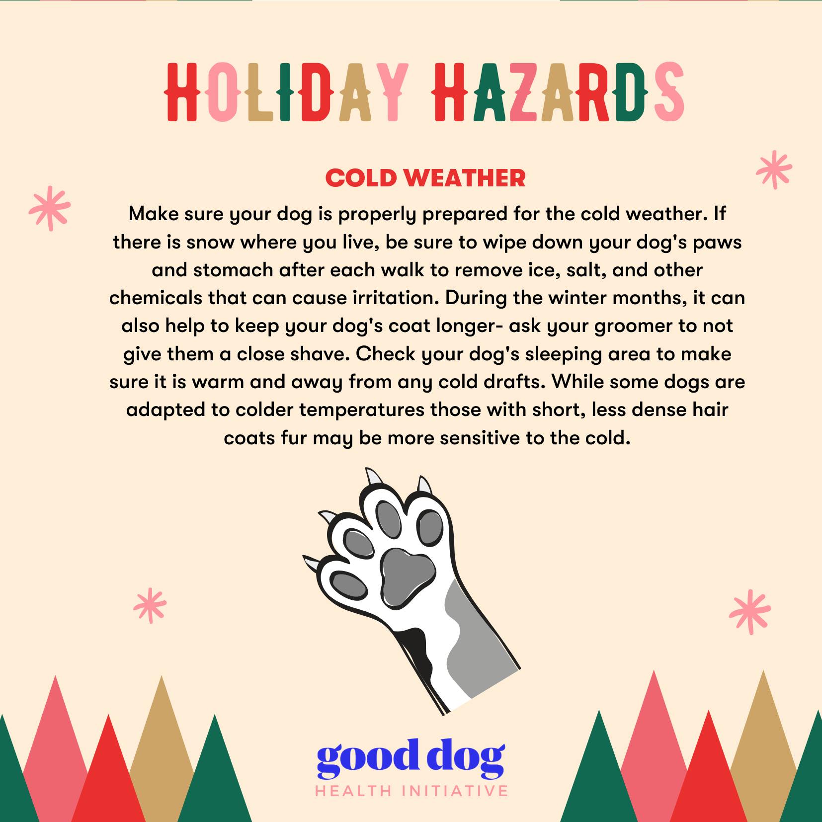 Holiday Hazards: Cold weather