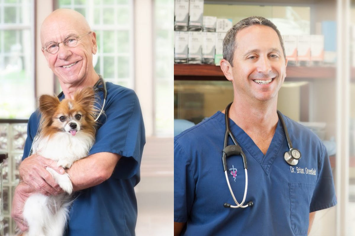 Left, Dr. Hutchison holding small dog & Right, Dr. Greenfield