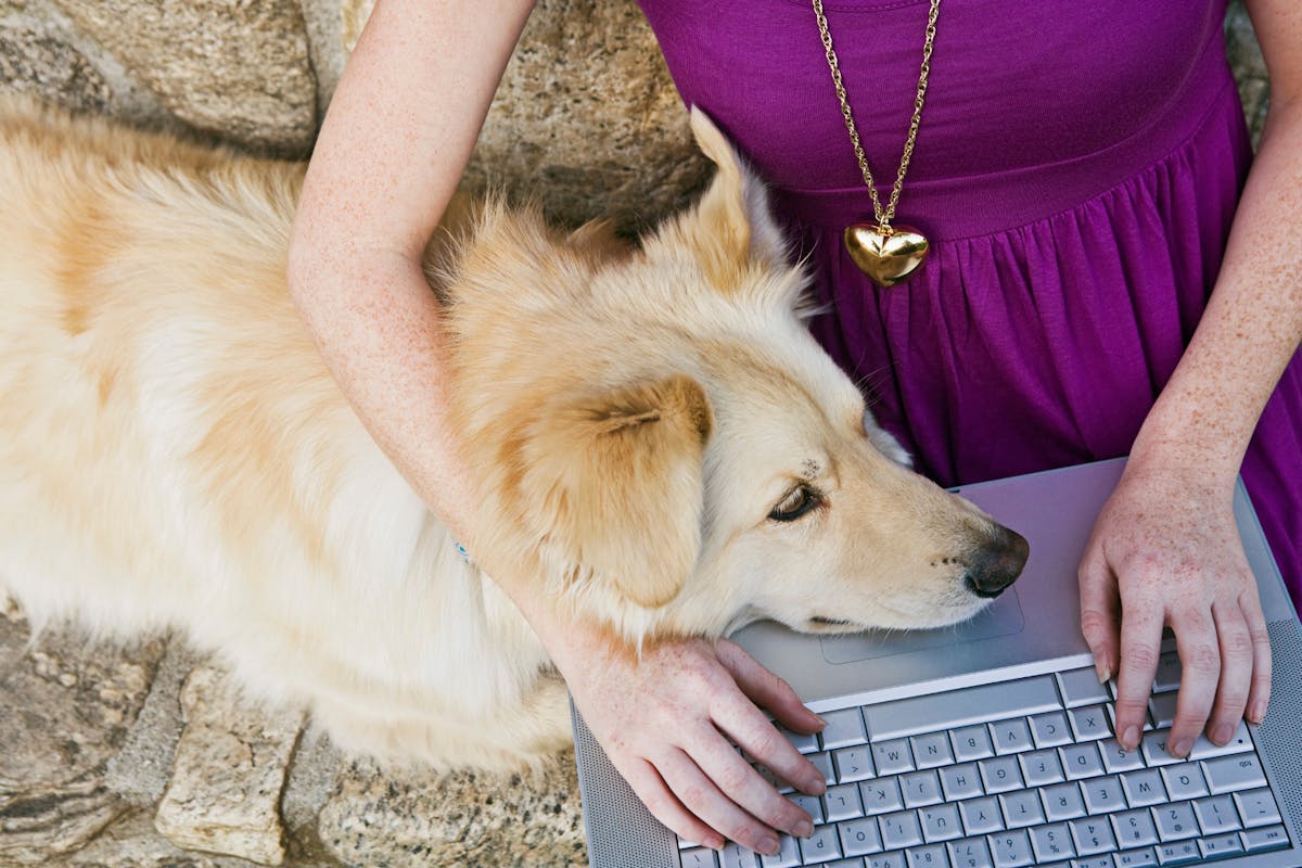 Woman on computer with dog.