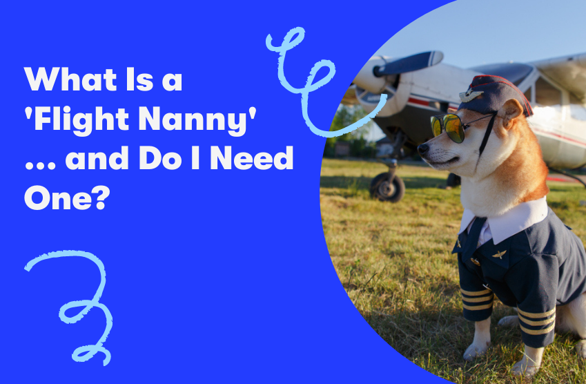 dog flying airport flight nanny