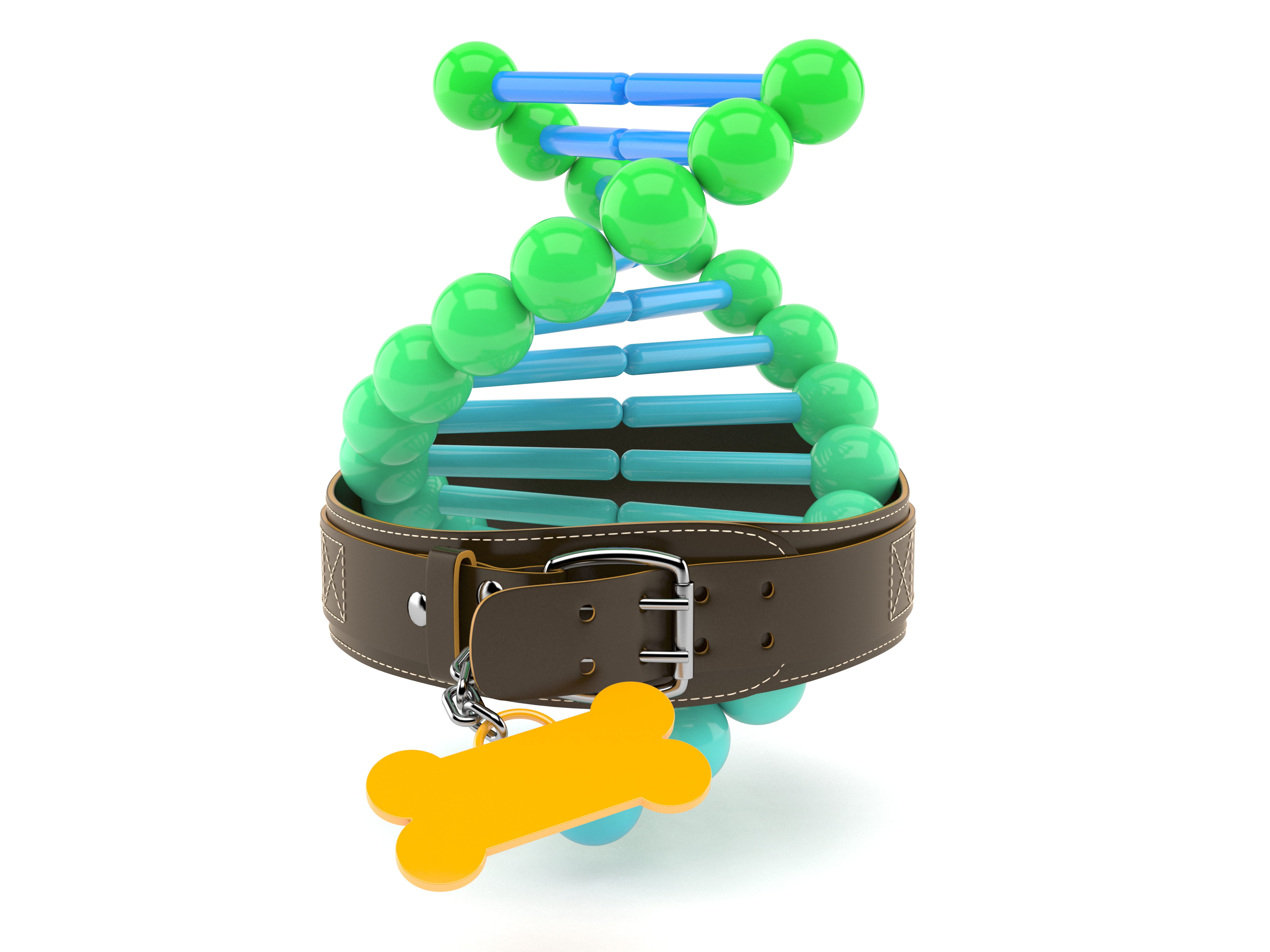 DNA and a dog collar