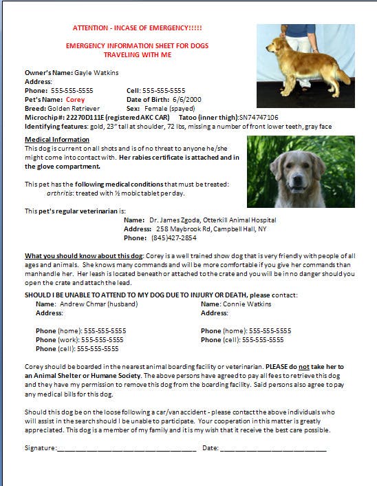 Emergency dog information for traveling