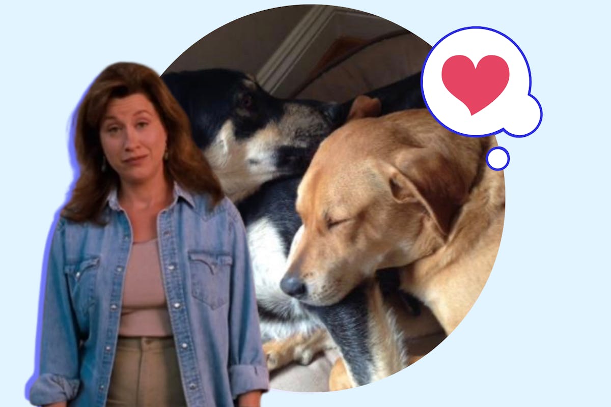 Actress Lisa Ann Walter and her dogs cuddling