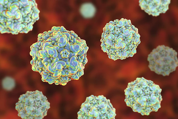 Microscopic image of parvovirus