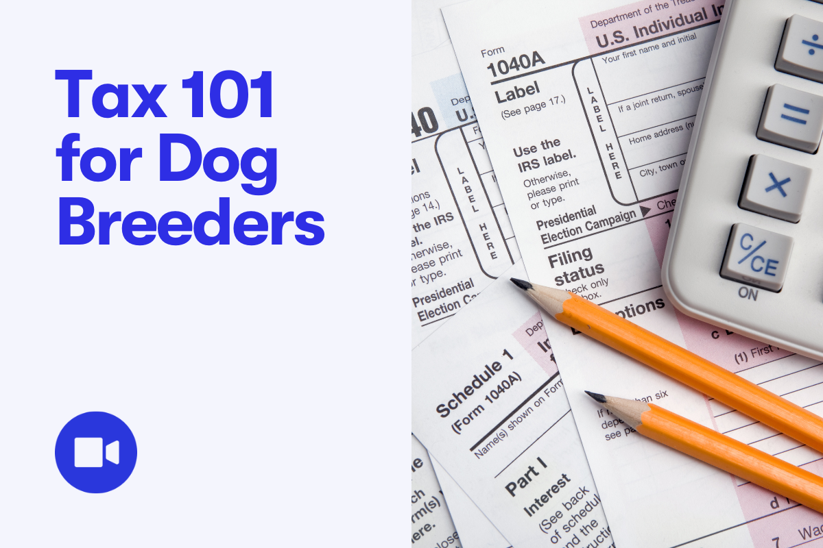 Tax 101 for Dog Breeders