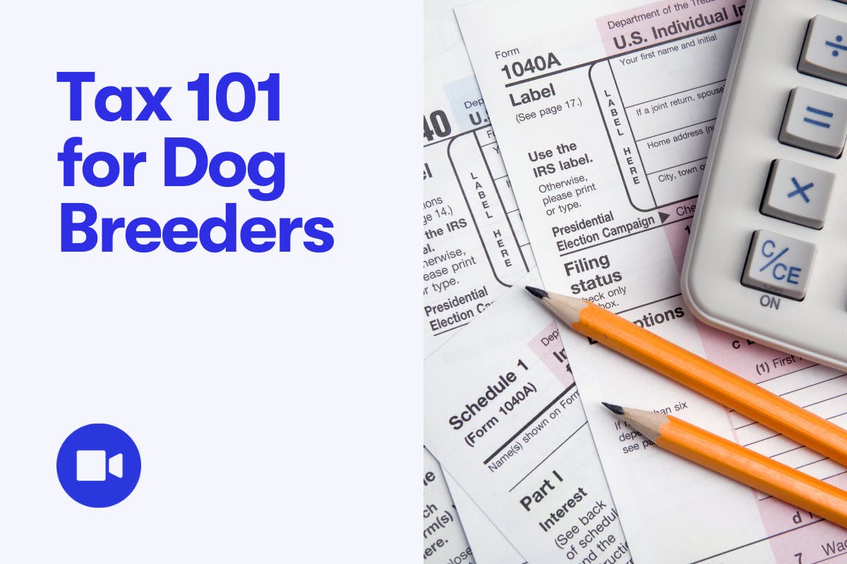 do dog breeders pay taxes