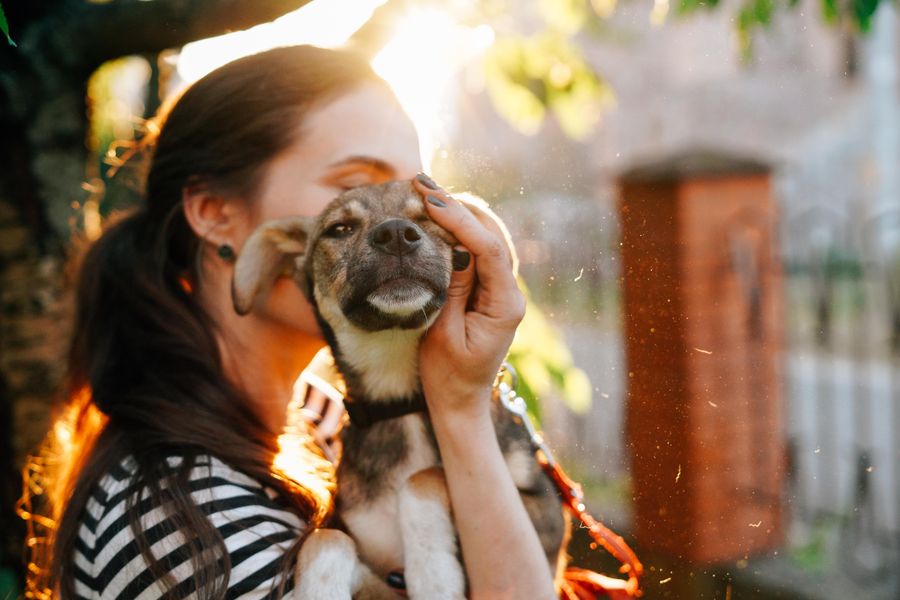 Woman holding smiling puppy at sunset