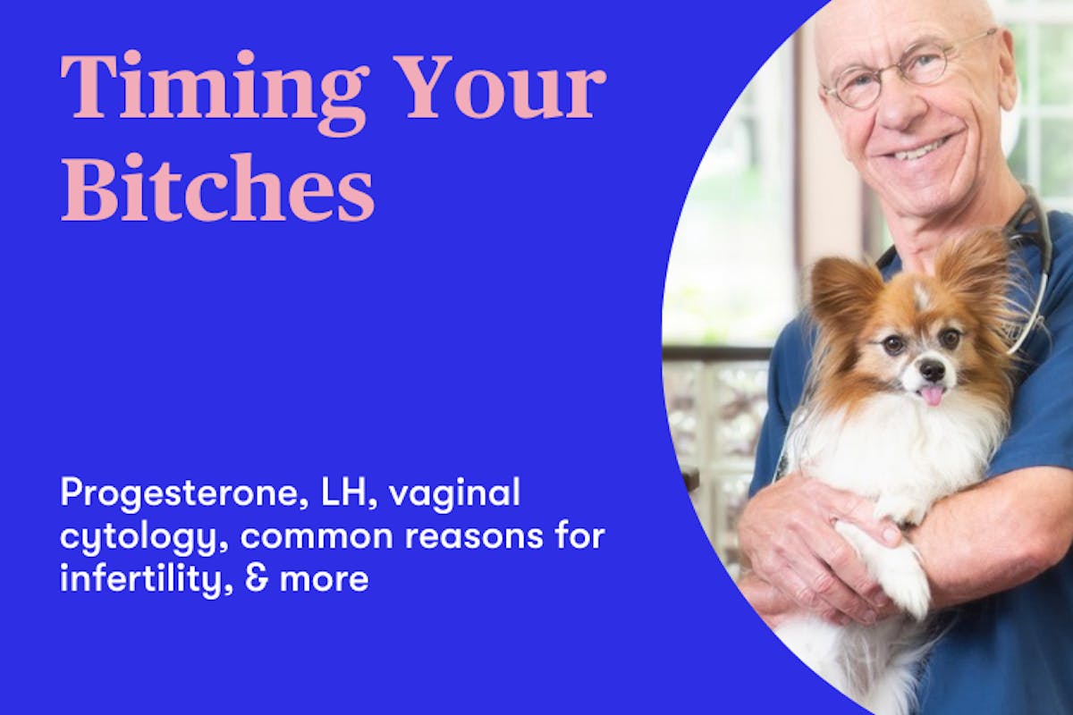 Watch Timing Your Bitches With Dr Hutchison Dvm